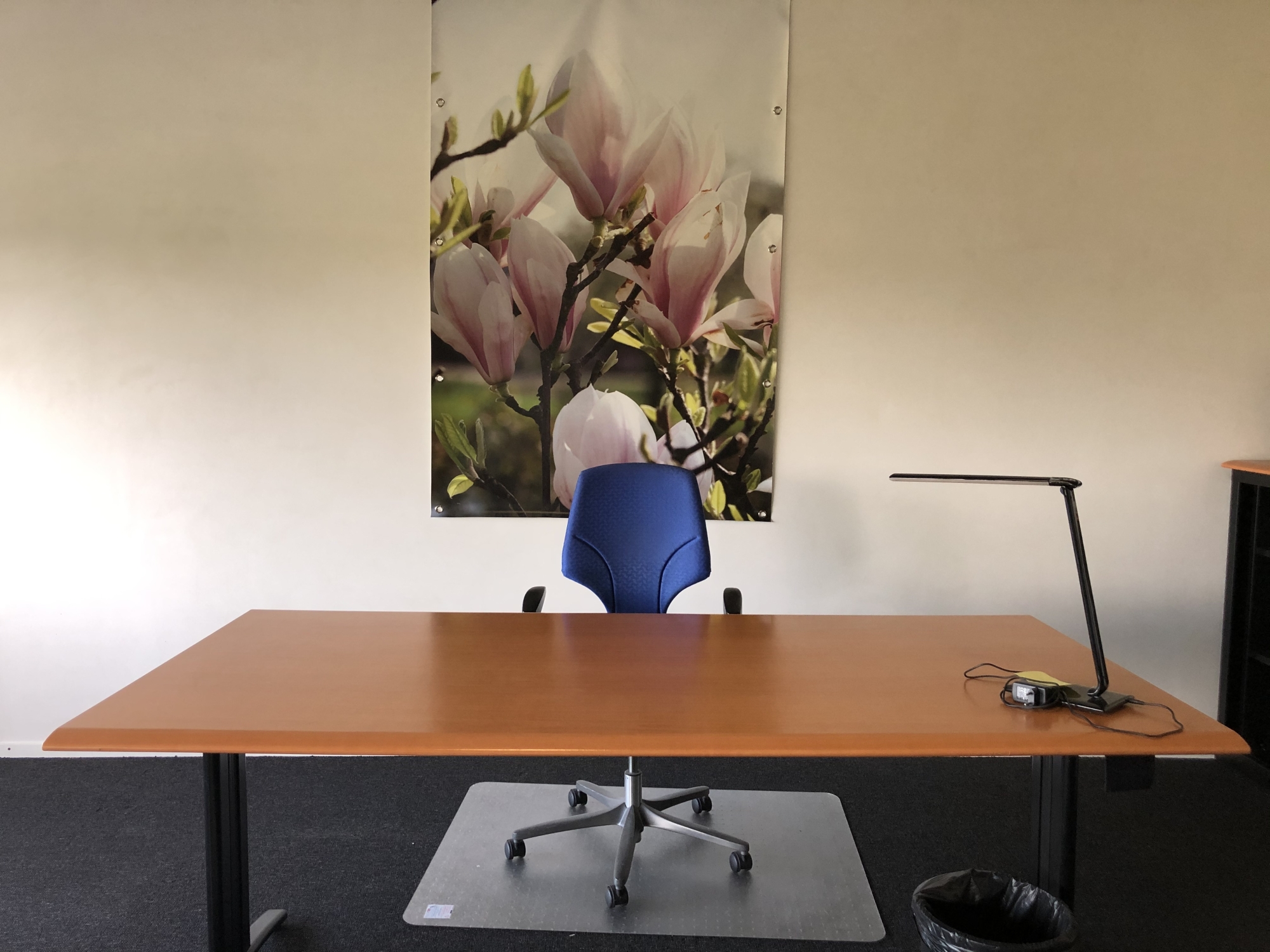 kantoorruimte huren wormerveer