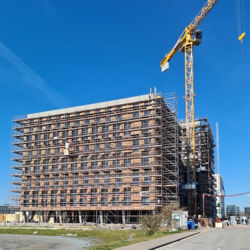 Ruwbouw