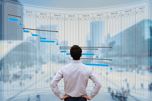 Overall Planning, milestones met beslismomenten