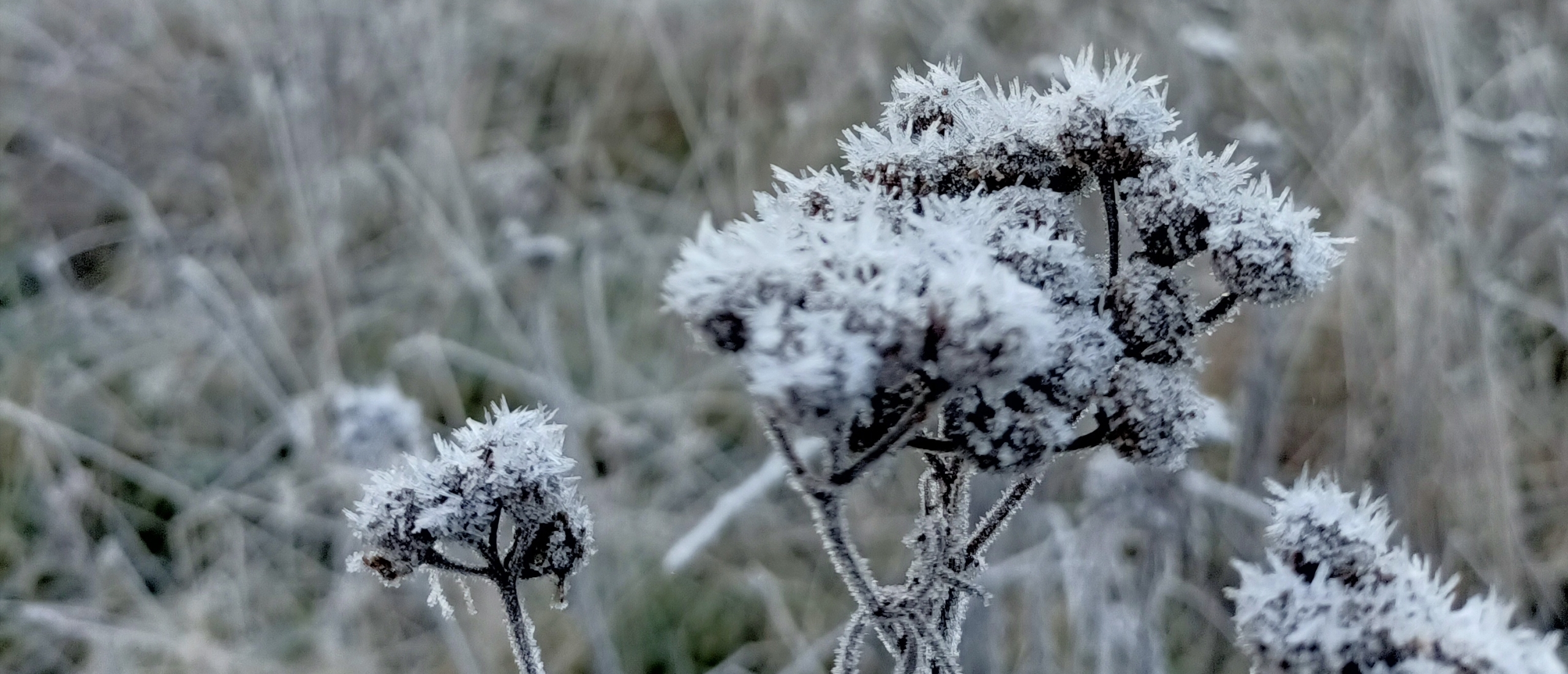 Winterenergie