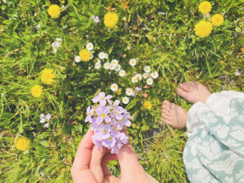 wilde-school-lente-kruiden