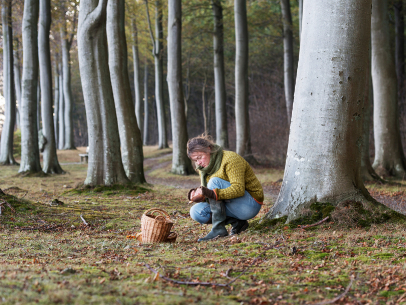 wildplukken-seizoenen-locatie