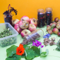 overvloed-rijkdom-wilde-voeding