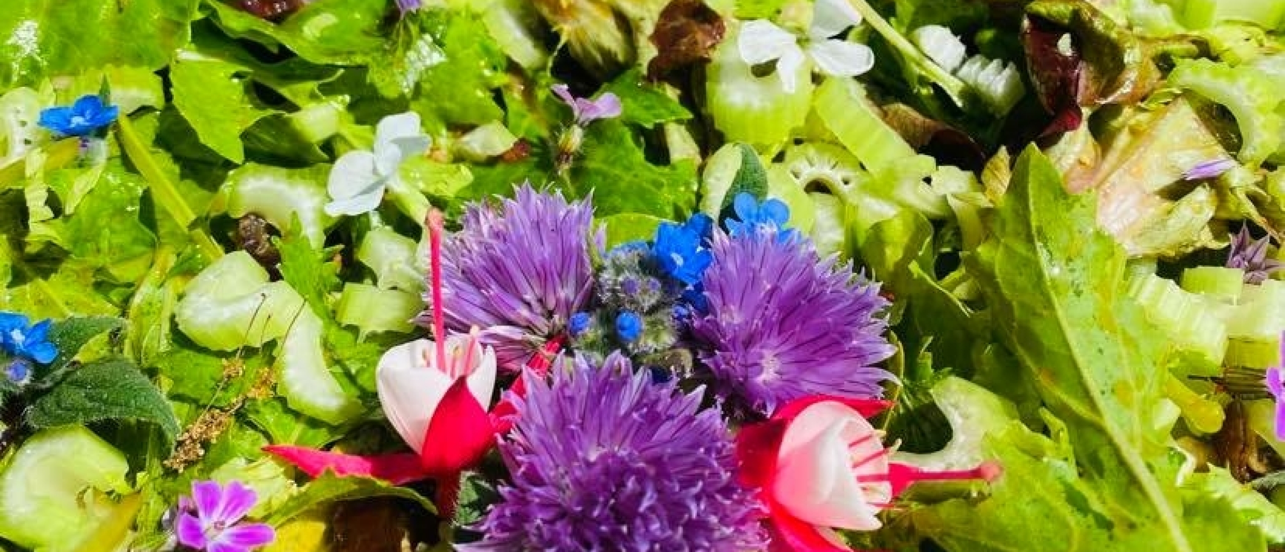 De boterbloemencake die regenboogsalade werd