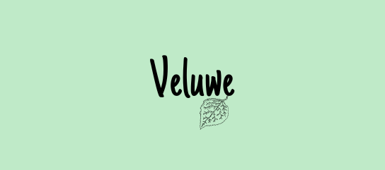 veluwe wildplukwandeling