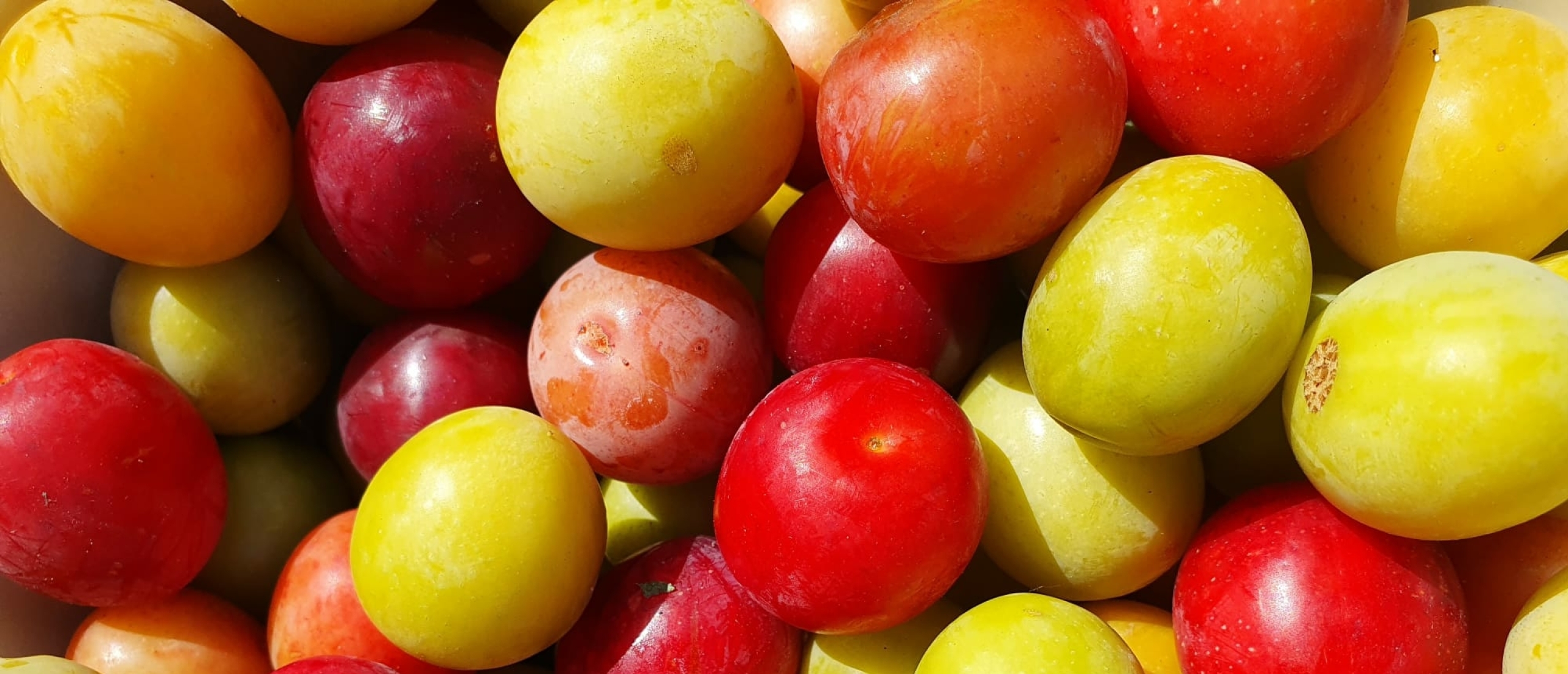 Recept: Pruimen uit de speeltuin