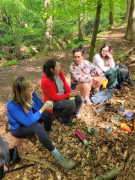 Vier vrouwen zitten op een boomstam in het bos