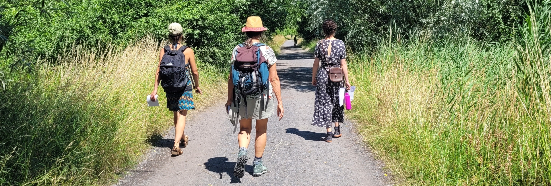 drie vrouwen uit de community van Wildflowers die wandelen in de natuur met een rugzak op hun rug