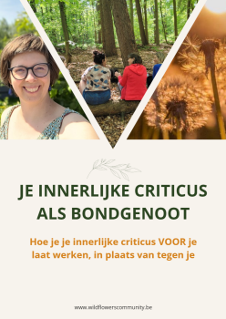 Cover e-book 'je innerlijke criticus als bondgenoot'