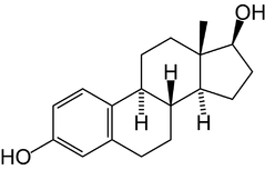 oestrogeen