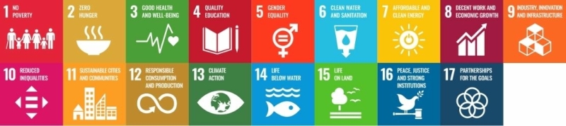 17 sustainable development goals voor een leefbare wereld vanaf 2030