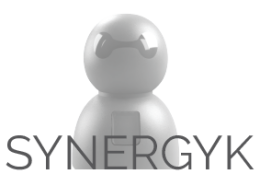 Synergyk logo