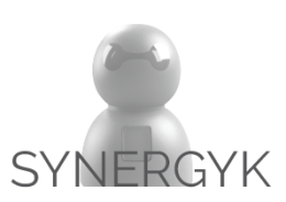 Synergyk Logo