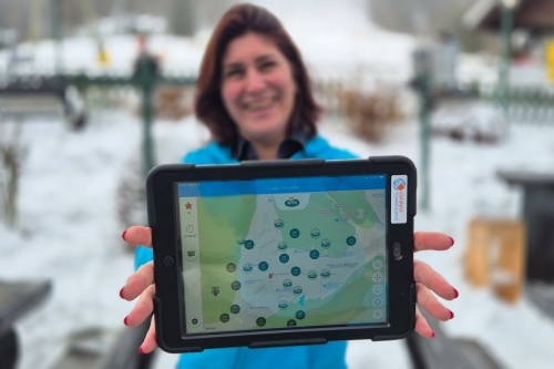 Values games Values games