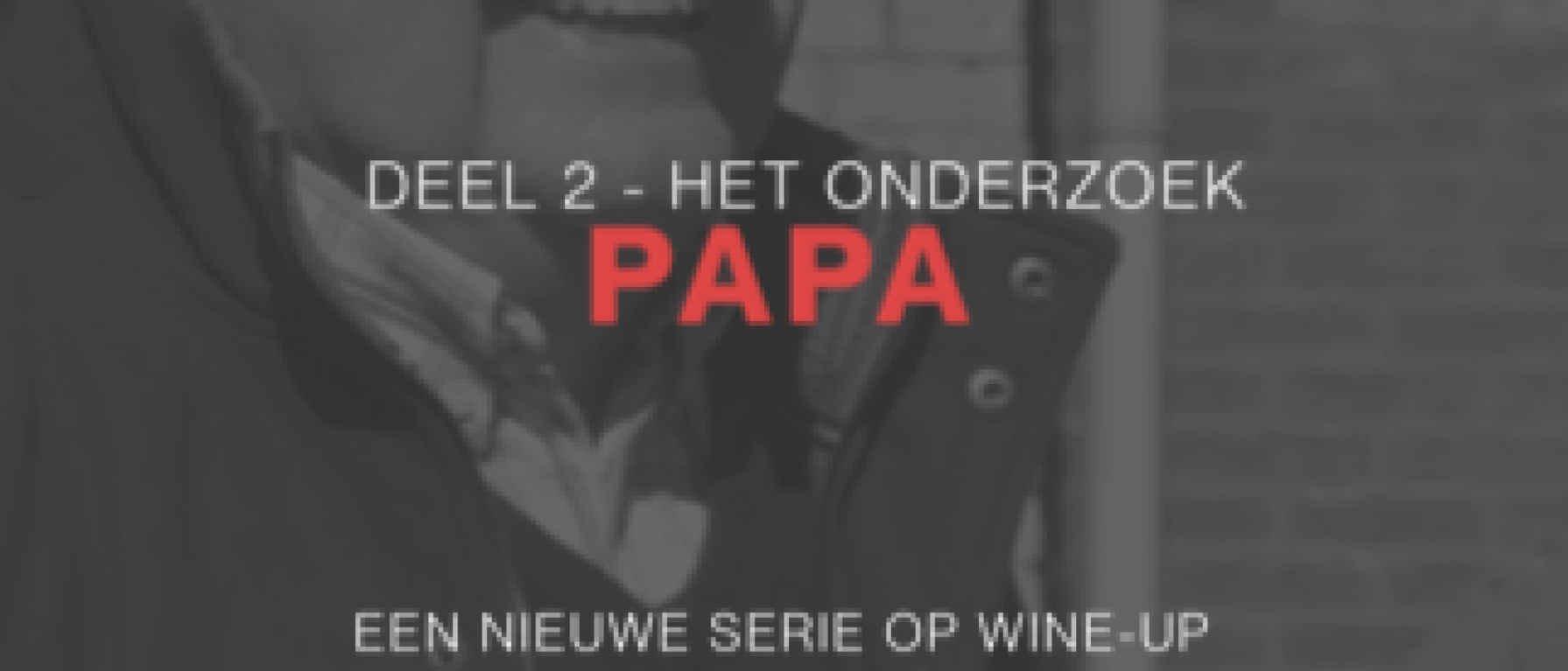 Diagnose middag - papa (2)