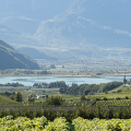wijngaarden Zuid-Tirol