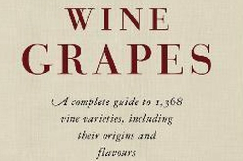 wine grapes Jancis robinson