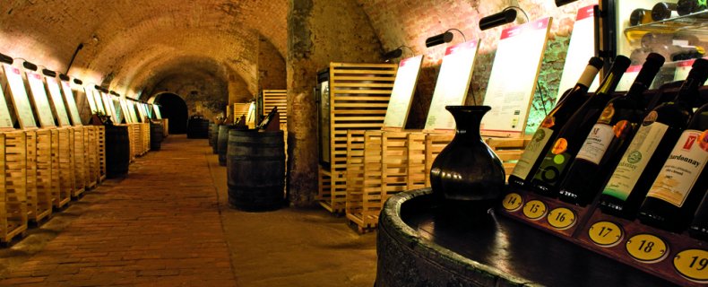 Proef de 101 beste wijnen van Tsjechië