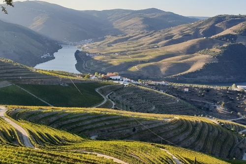 Douro