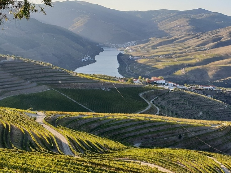 Douro