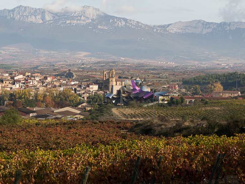 marques de riscal rioja