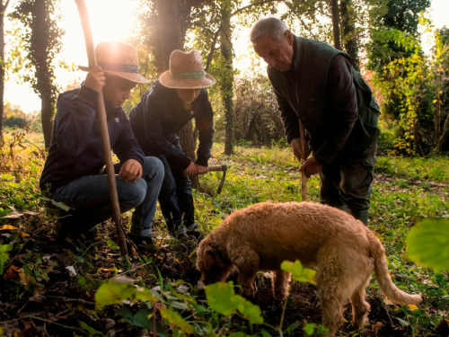truffels langhe