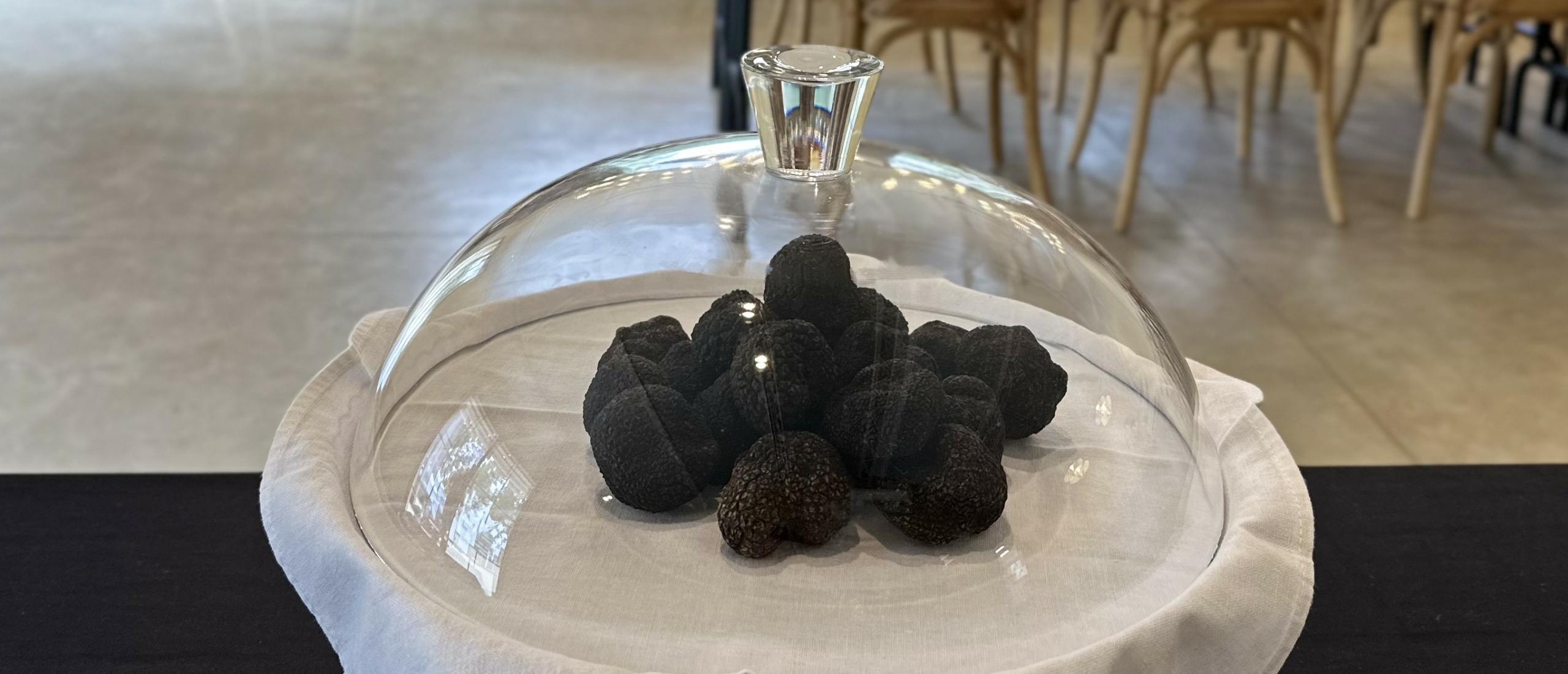 truffel workshop penedes