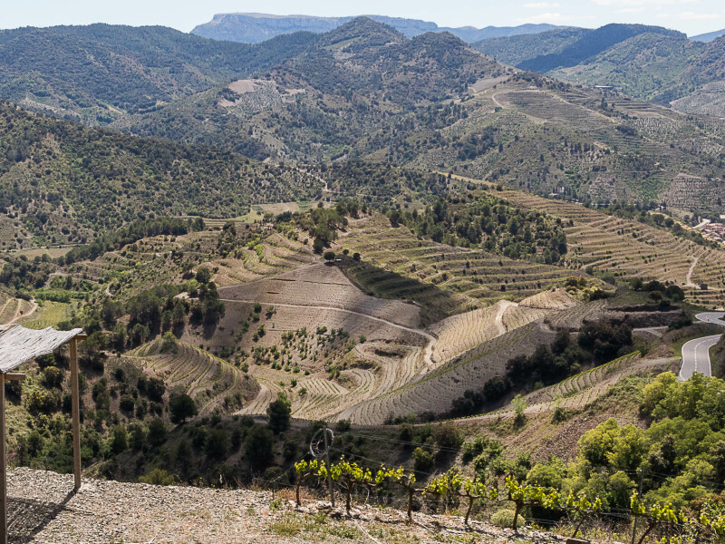 Priorat