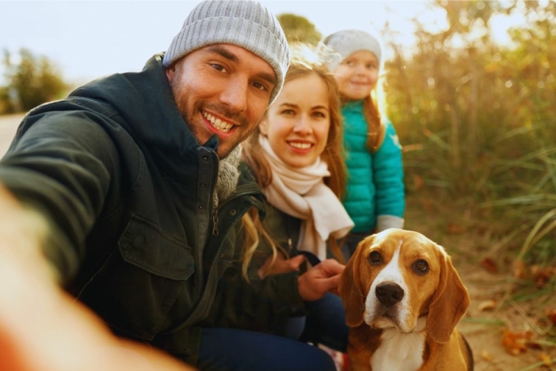 Beagle Karaktereigenschappen: Vriendelijk, Energiek en Nieuwsgierig