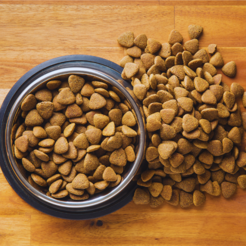 Beagle Pup Voedingsadvies