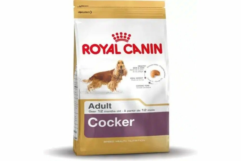 hoe oud wordt een cocker spaniel