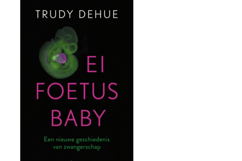 Aanbeveling Ei, foetus, baby WoMen Education