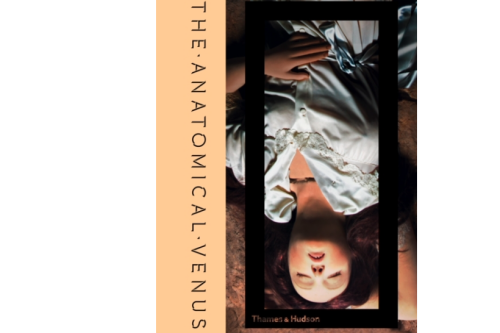 WoMen Education The Anatomical Venus