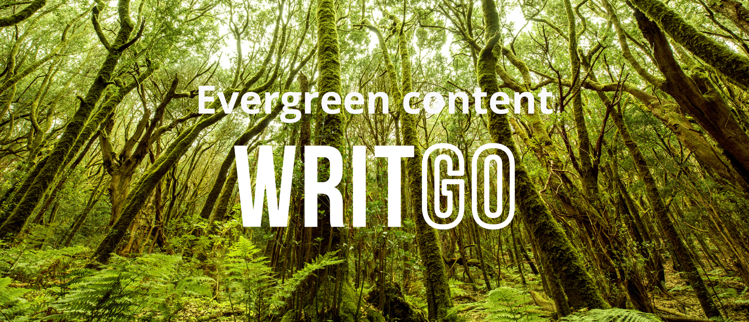 Wat is het belang van evergreen content?