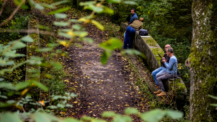 Team van Oreon Properties tijdens een reflectiewandeling in de natuur tijdens een YALPAK teambuilding in de Eifel.