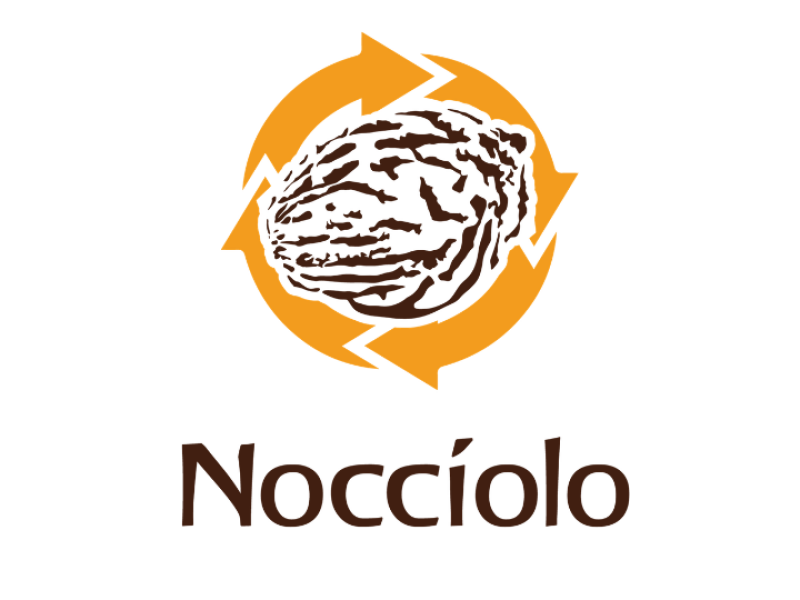 Nocciolo Sponsor YRF website