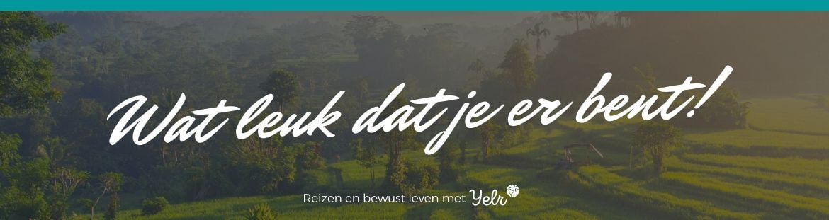 Yelr: het grootste reisplatform van Nederland