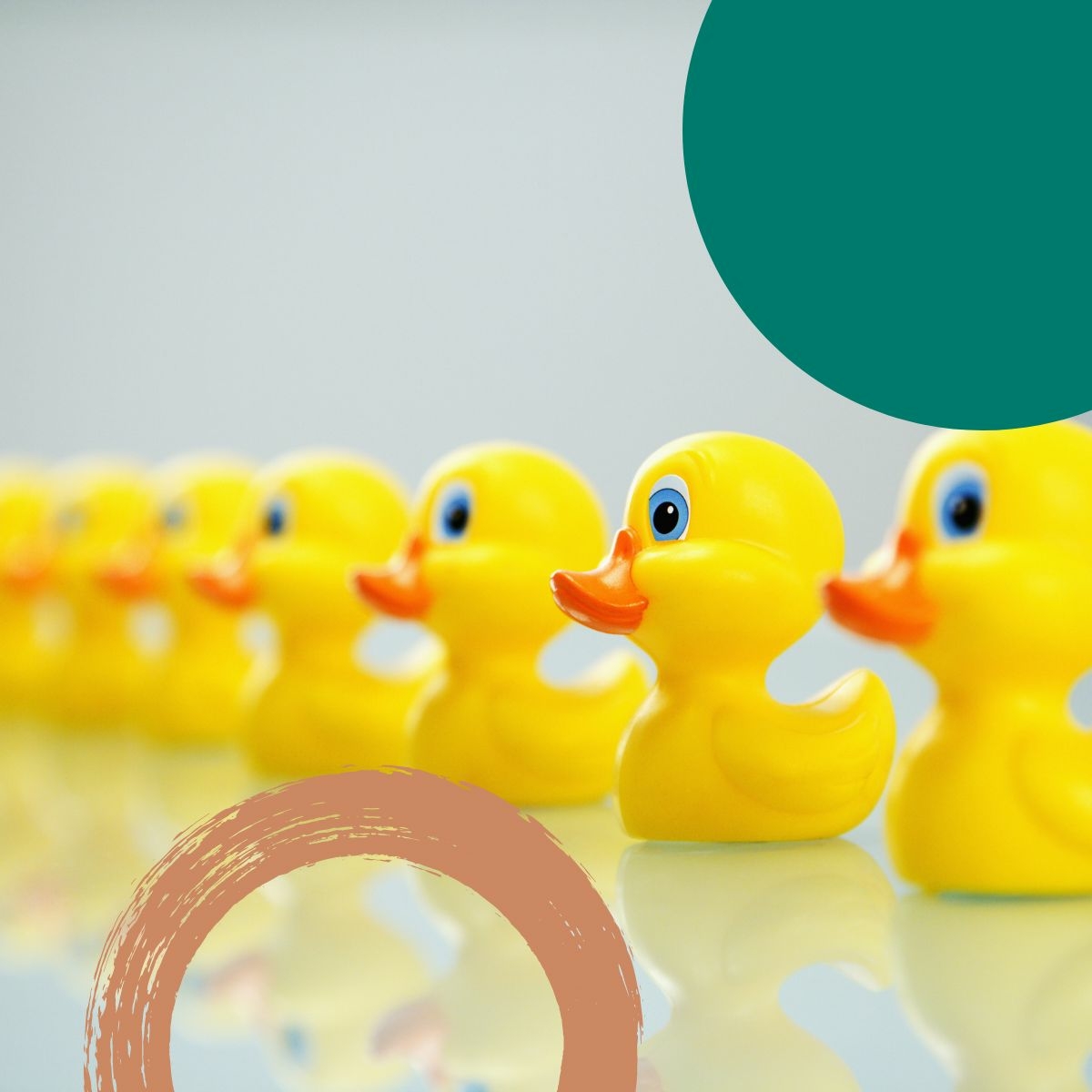 Get your ducks in a row!