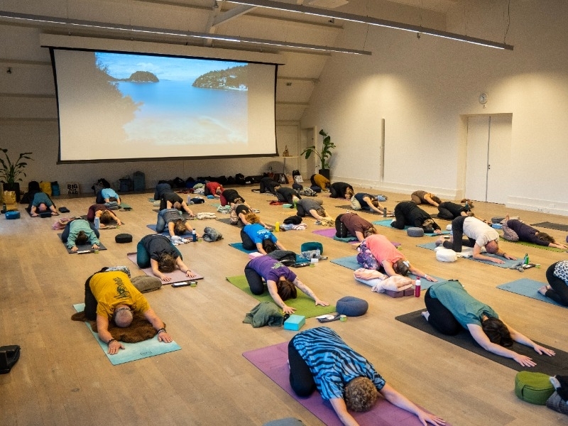 Child's pose vinyasa yoga retreat dag Hof van Saksen Child's pose yoga en muziek retreat dag Hof van Saksen