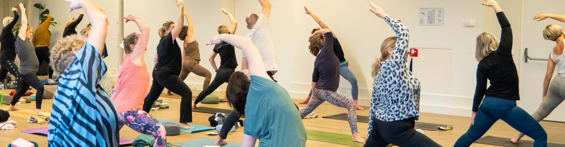 Vinyasa yoga groep in Drenthe Vinyasa yoga in Drenthe/Groningen