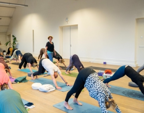 Vinyasa yoga, actieve yogalessen in Drenthe/Groningen