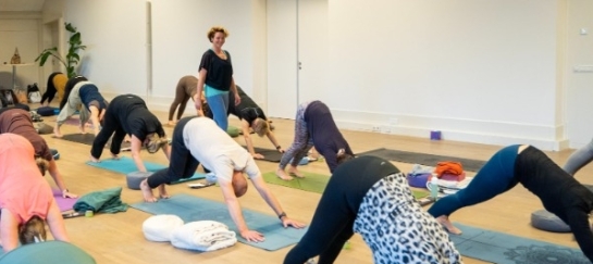 Vinyasa yoga, actieve yogalessen in Drenthe/Groningen