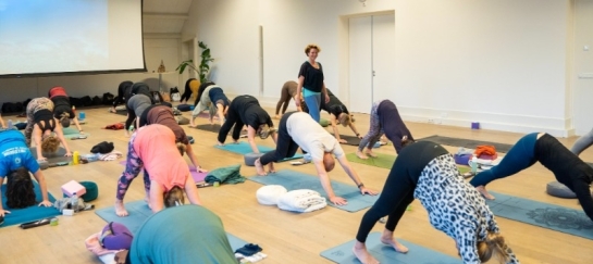 Vinyasa yoga, actieve yogalessen in Drenthe/Groningen