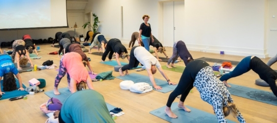Vinyasa yoga, actieve yogalessen in Drenthe/Groningen