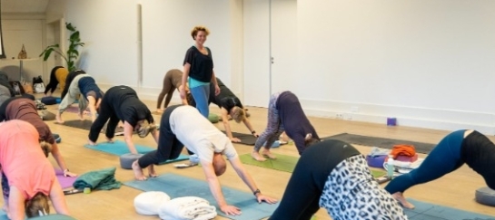 Vinyasa yoga, actieve yogalessen in Drenthe/Groningen