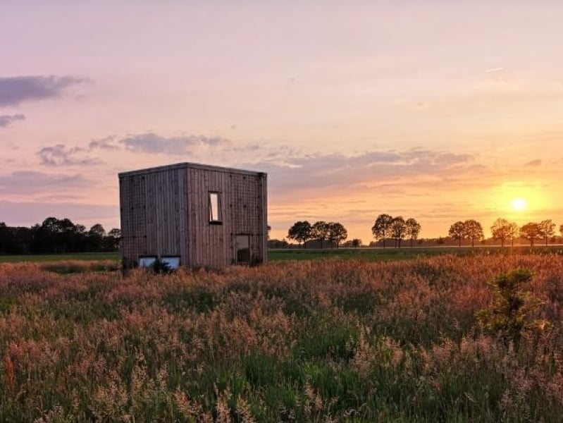 Goudvink yoga retreat locatie in de natuur