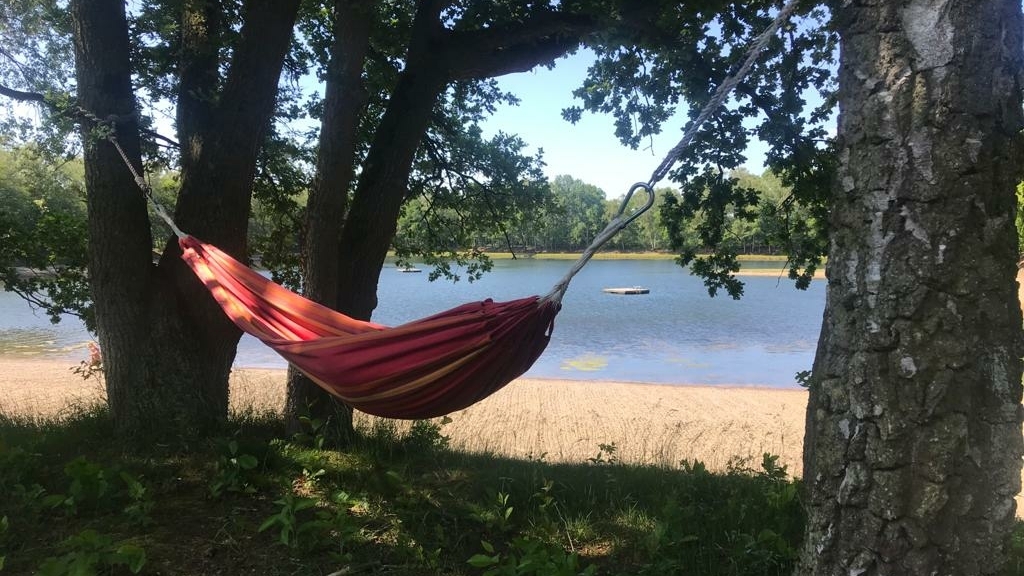 Kom de rust  van yoga in de natuur ervaren