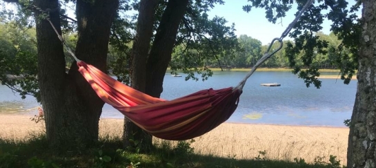 Kom de rust  van yoga in de natuur ervaren