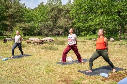 Krijger 1 vinyasa yoga in de natuur