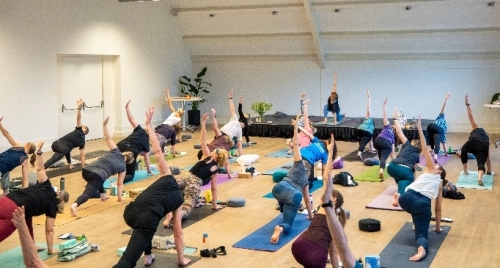 Lage lunge en twist vinyasa yoga retreat dag